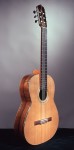 Brazilian rosewood guitar