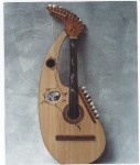 Custom harp guitar