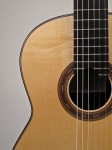 Cocobolo Guitar (detail)