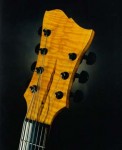 Archtop Guitar (detail)