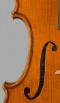 Violin 2007 (detail)
