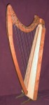 29 String Gothic Harp