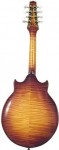 Standard Mandolin (back)