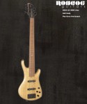 Bass Guitar LG series