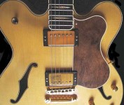 Coobs archtop guitar